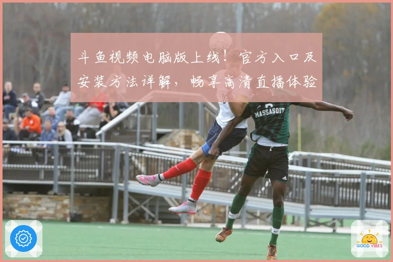 斗鱼视频电脑版上线！官方入口及安装方法详解，畅享高清直播体验