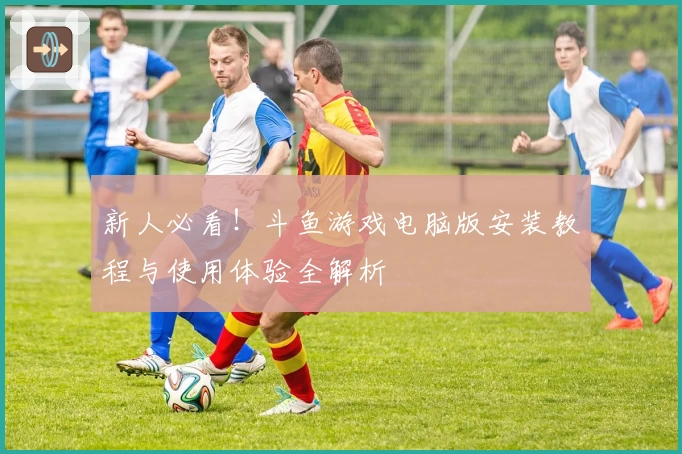 新人必看！斗鱼游戏电脑版安装教程与使用体验全解析