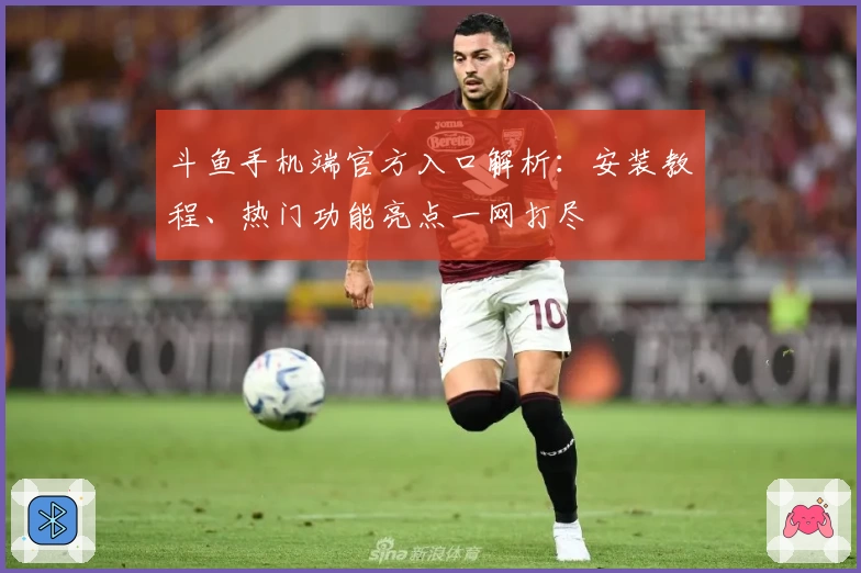 斗鱼手机端官方入口解析：安装教程、热门功能亮点一网打尽