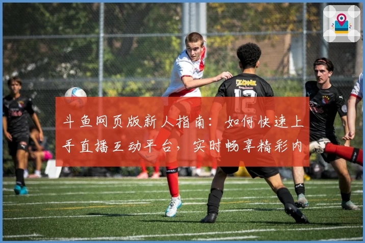 斗鱼网页版新人指南：如何快速上手直播互动平台，实时畅享精彩内容体验