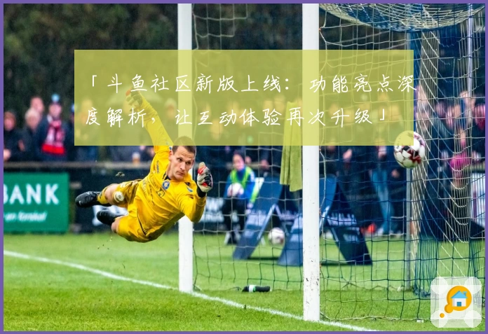 「斗鱼社区新版上线：功能亮点深度解析，让互动体验再次升级」