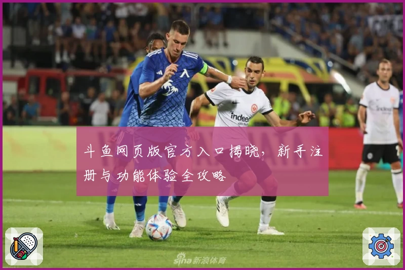斗鱼网页版官方入口揭晓，新手注册与功能体验全攻略