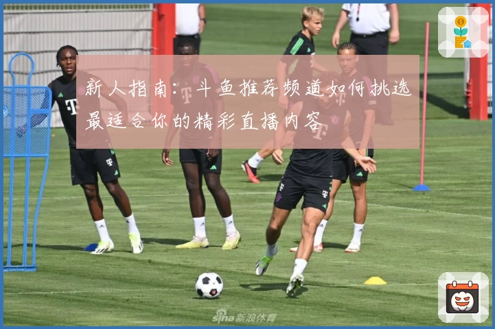 新人指南：斗鱼推荐频道如何挑选最适合你的精彩直播内容