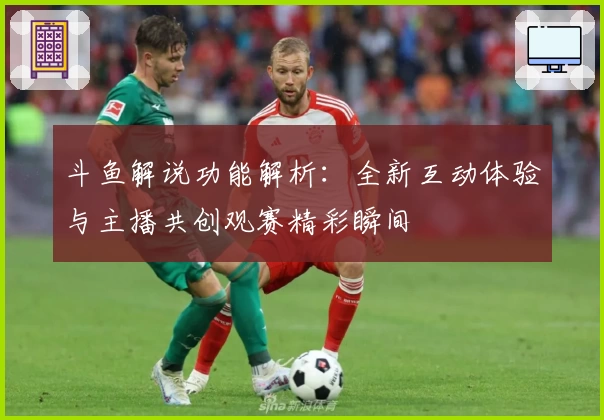 斗鱼解说功能解析：全新互动体验与主播共创观赛精彩瞬间