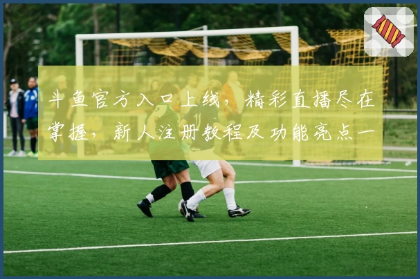 斗鱼官方入口上线，精彩直播尽在掌握，新人注册教程及功能亮点一览