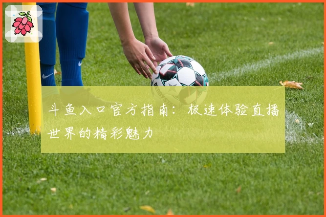 斗鱼入口官方指南:极速体验直播世界的精彩魅力