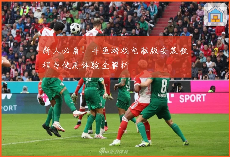 新人必看！斗鱼游戏电脑版安装教程与使用体验全解析