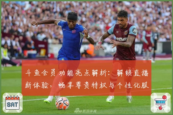 斗鱼会员功能亮点解析：解锁直播新体验，畅享尊贵特权与个性化服务